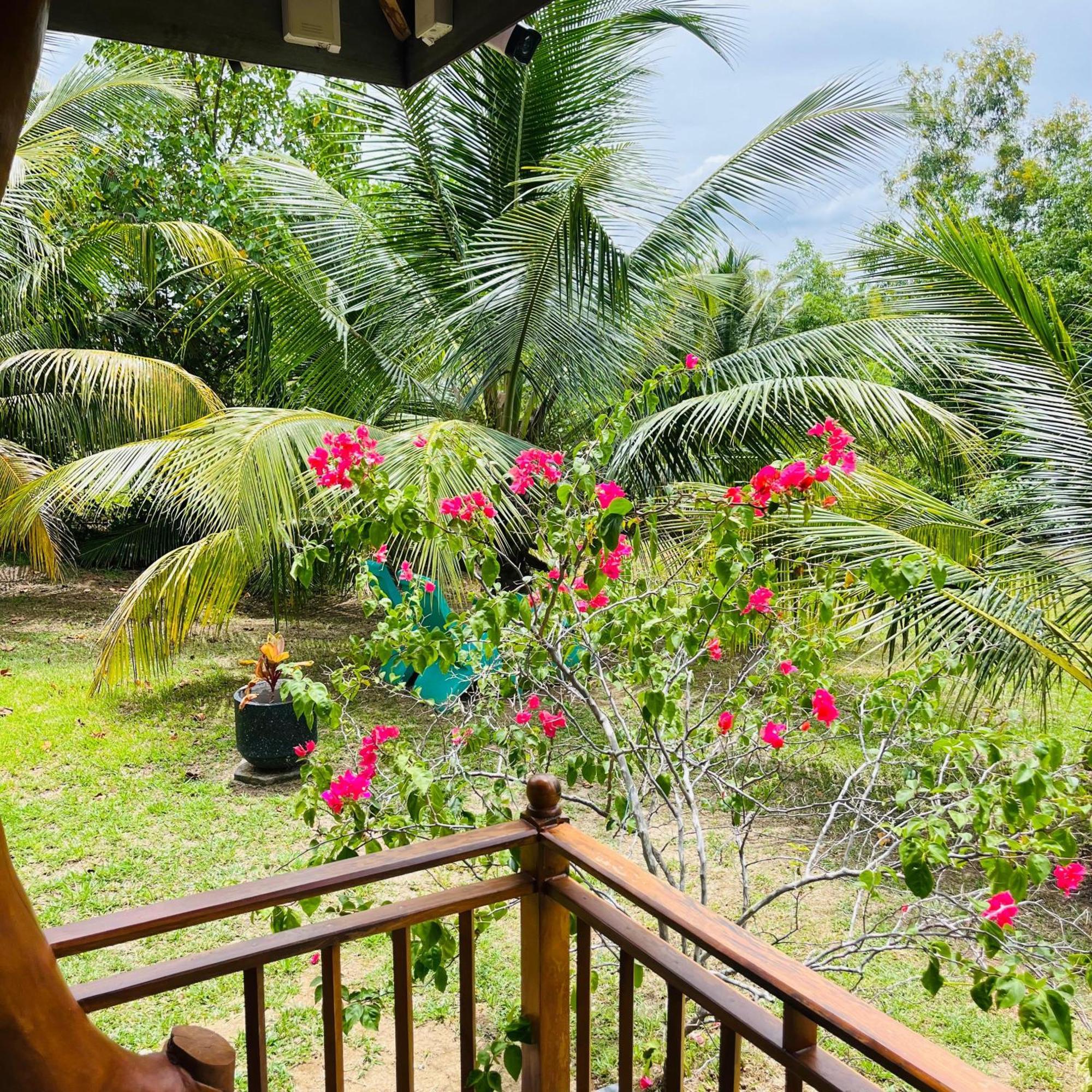 Hanguk Lanka Lagoon Villa تانجالي المظهر الخارجي الصورة