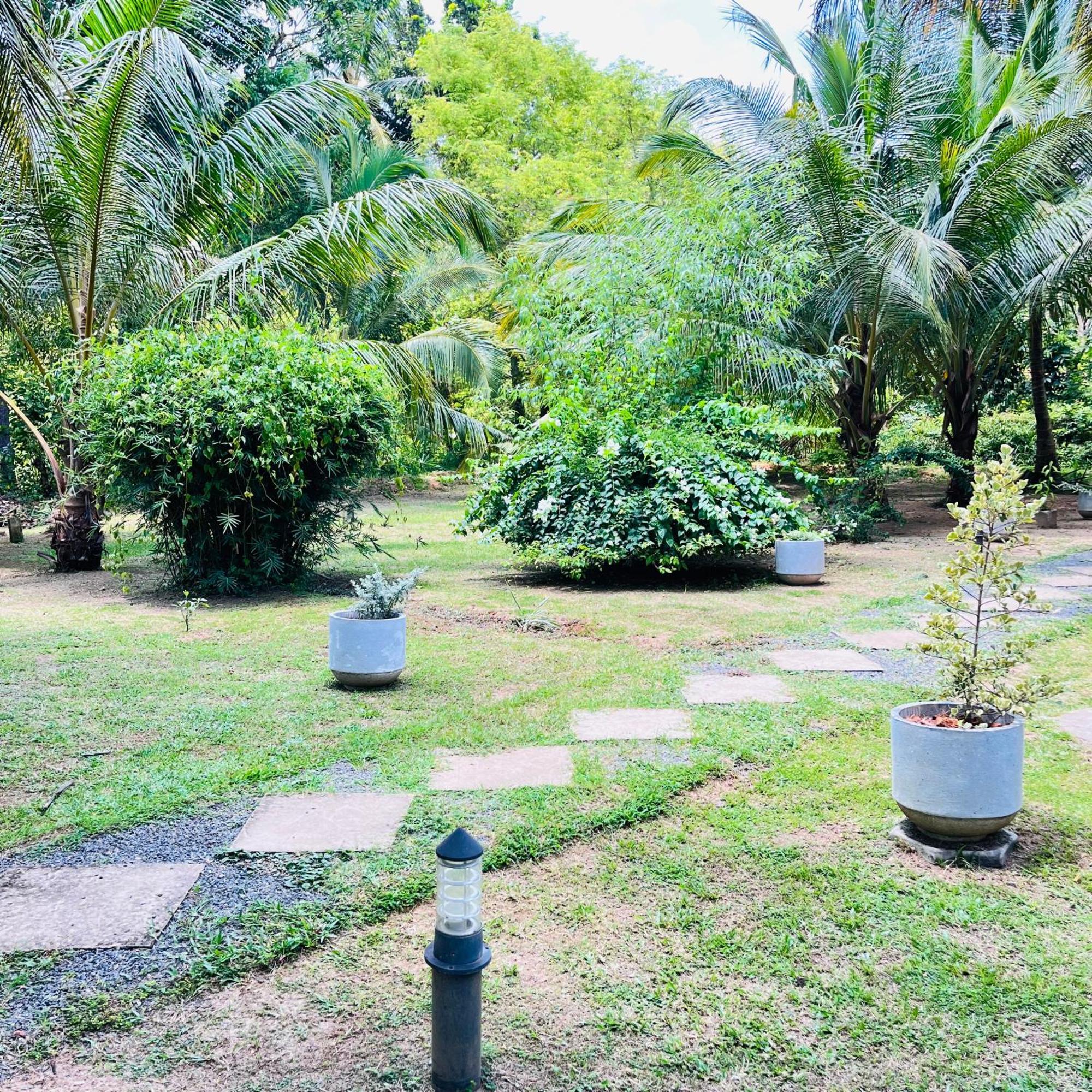 Hanguk Lanka Lagoon Villa تانجالي المظهر الخارجي الصورة