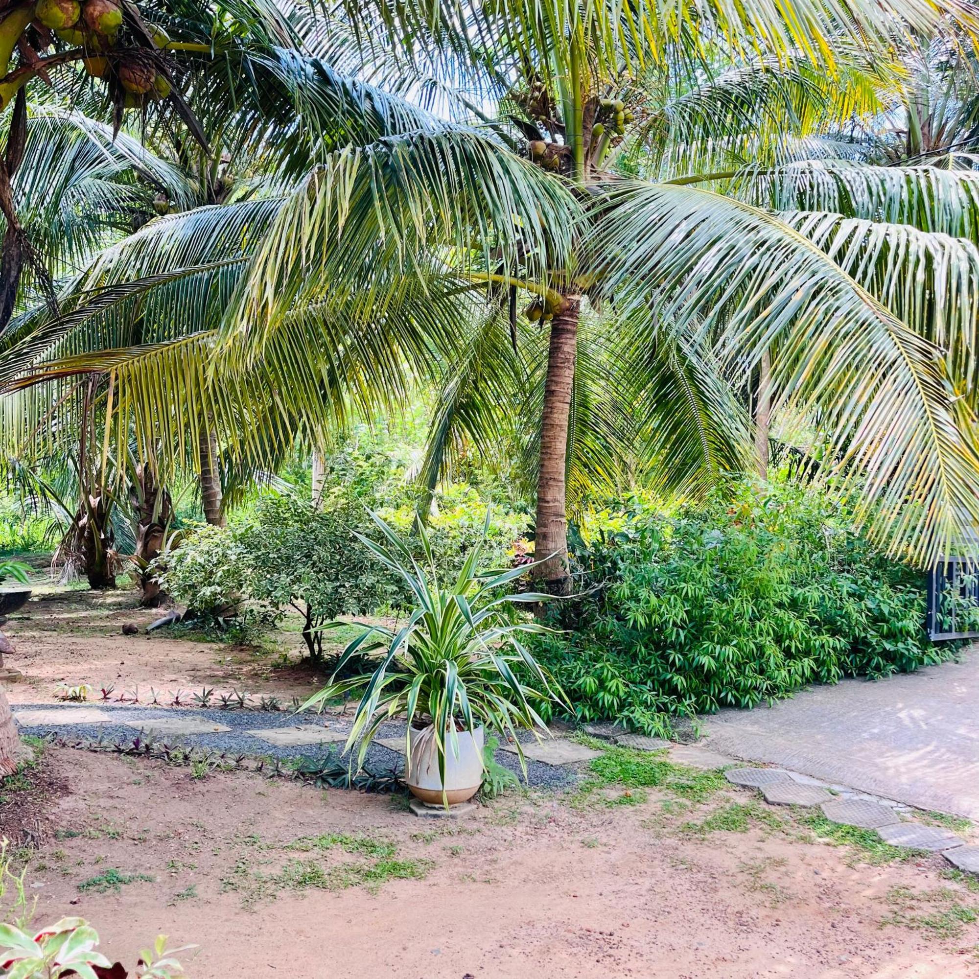 Hanguk Lanka Lagoon Villa تانجالي المظهر الخارجي الصورة