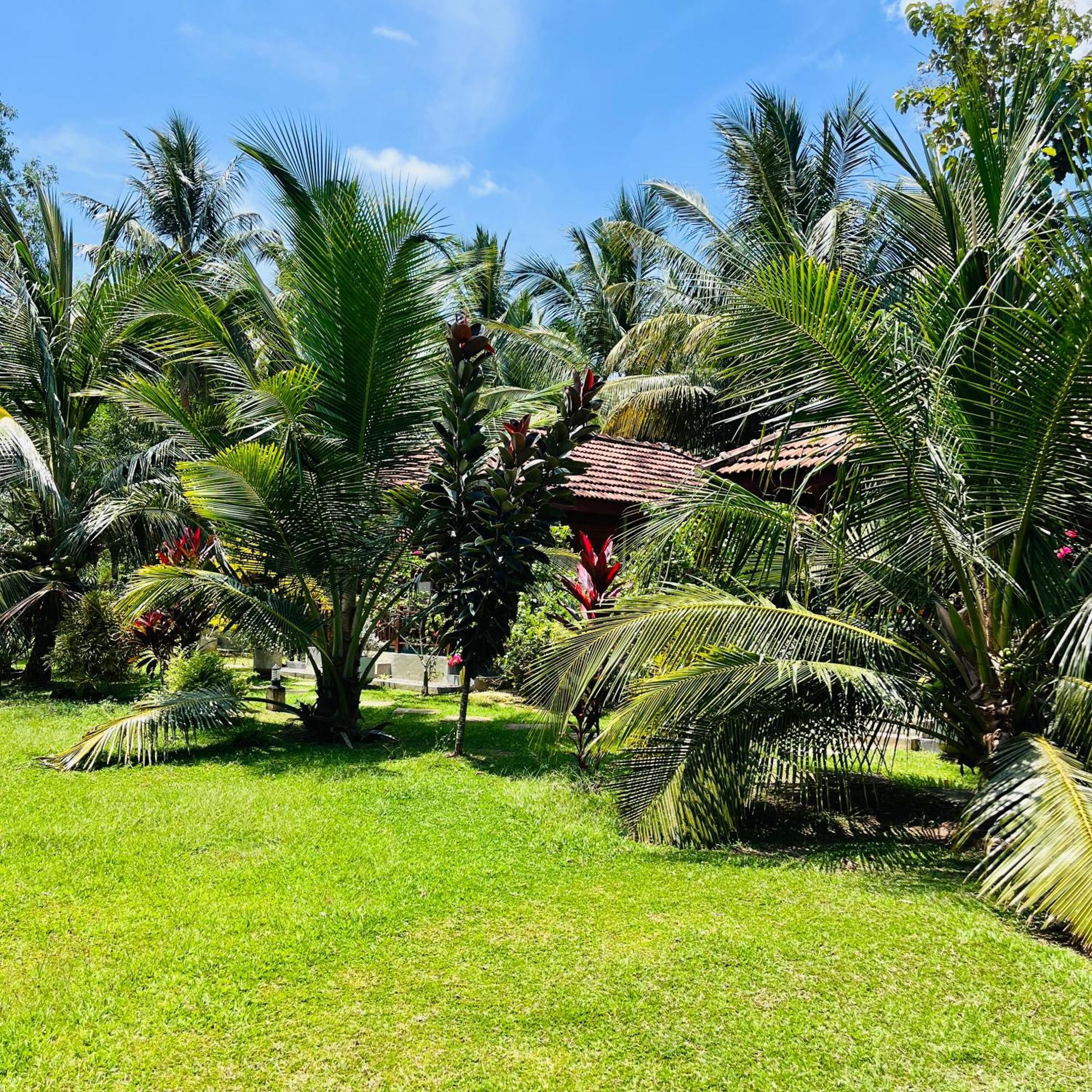 Hanguk Lanka Lagoon Villa تانجالي المظهر الخارجي الصورة