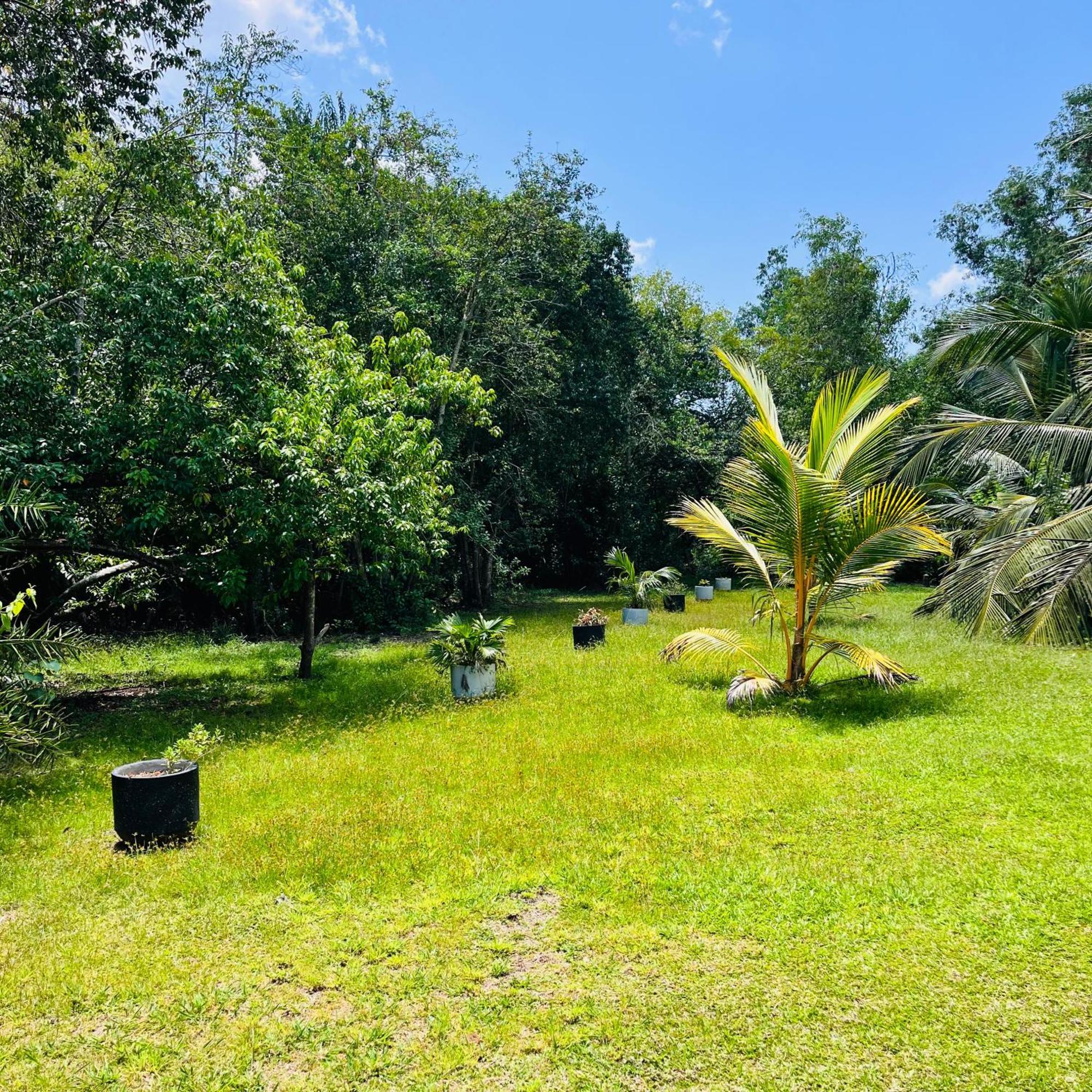Hanguk Lanka Lagoon Villa تانجالي المظهر الخارجي الصورة