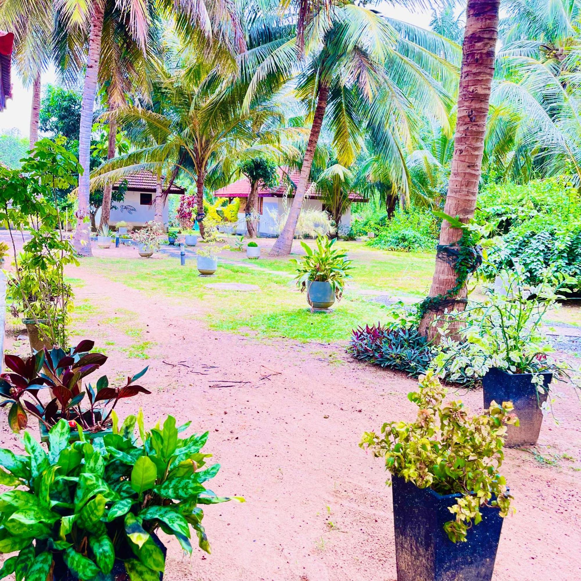 Hanguk Lanka Lagoon Villa تانجالي المظهر الخارجي الصورة