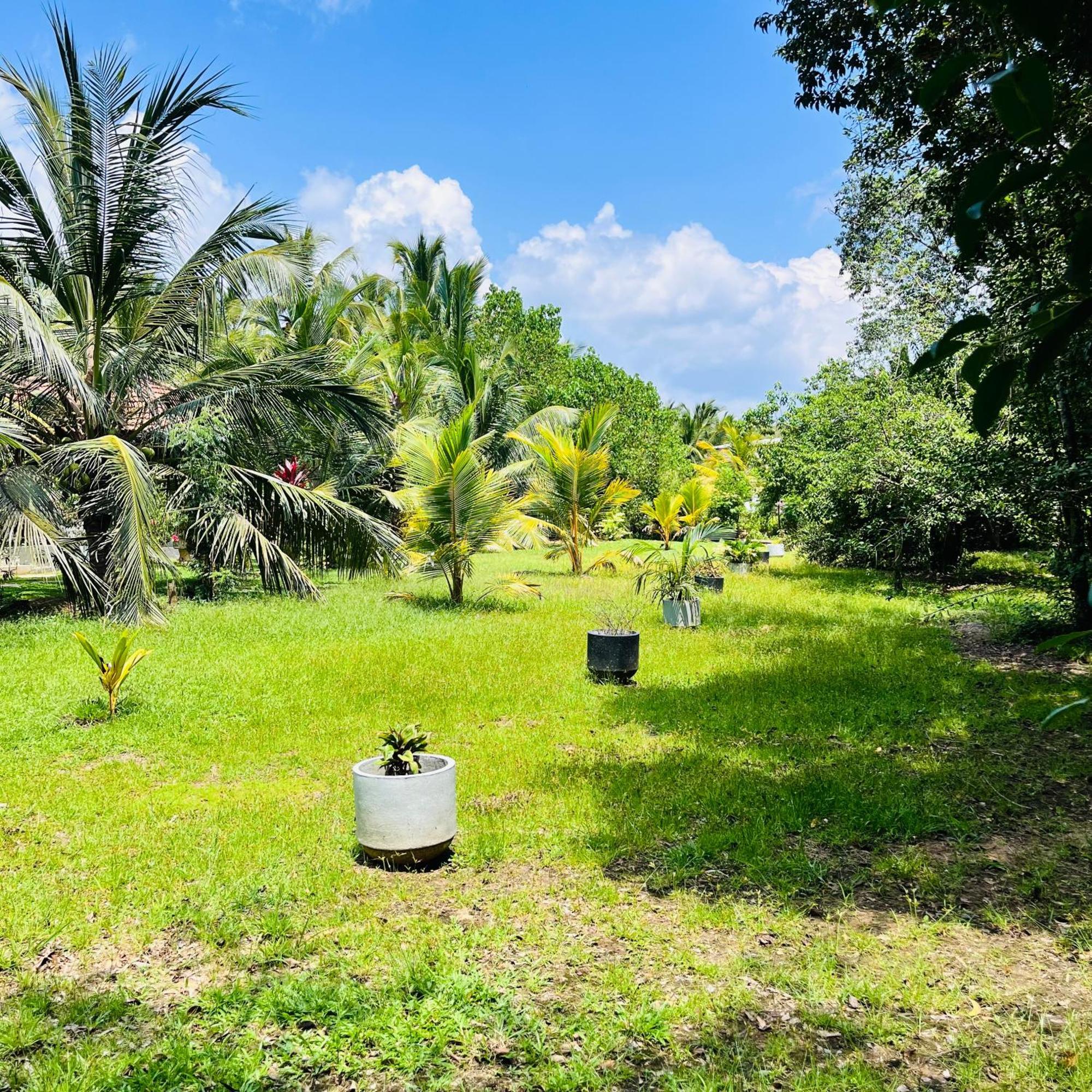 Hanguk Lanka Lagoon Villa تانجالي المظهر الخارجي الصورة