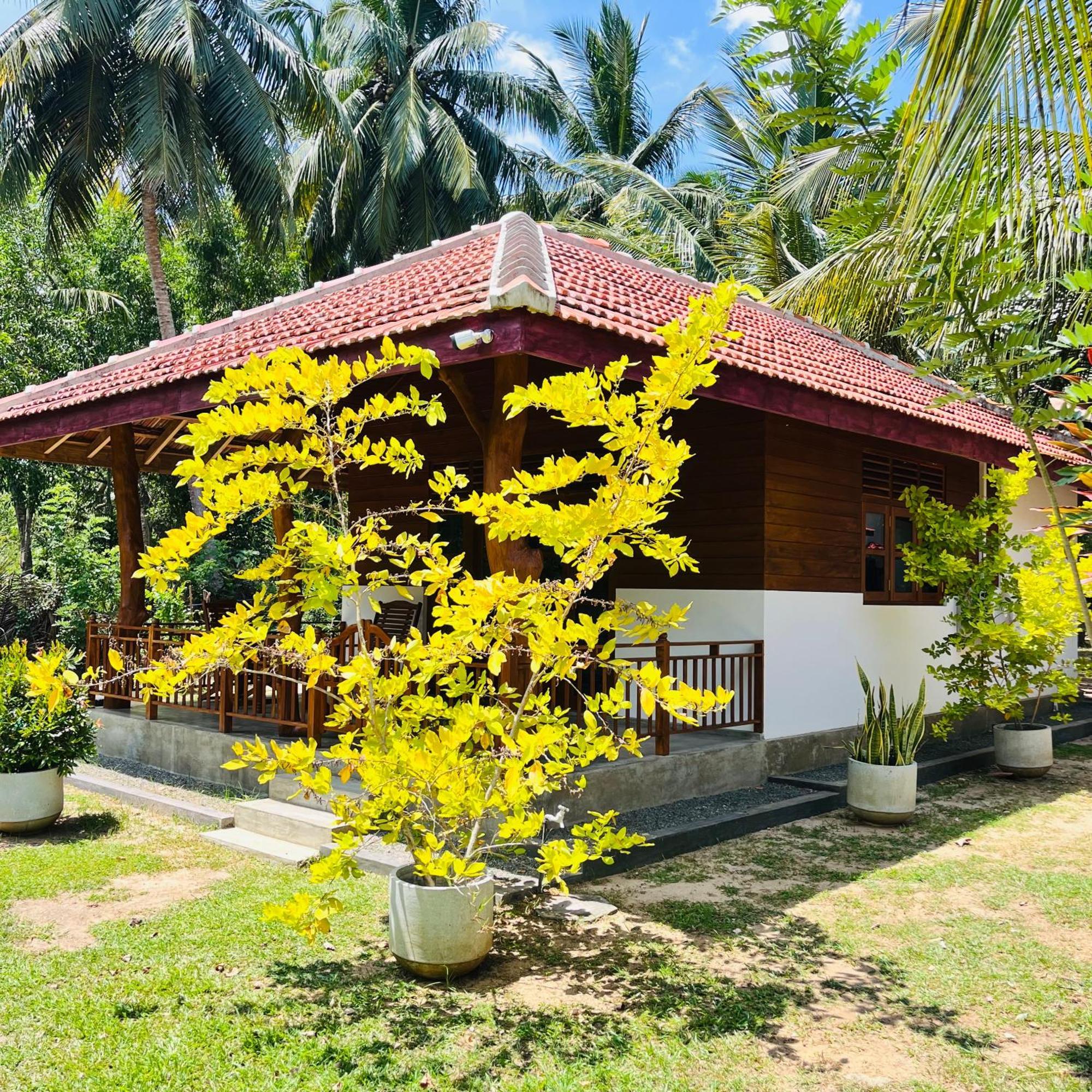 Hanguk Lanka Lagoon Villa تانجالي المظهر الخارجي الصورة