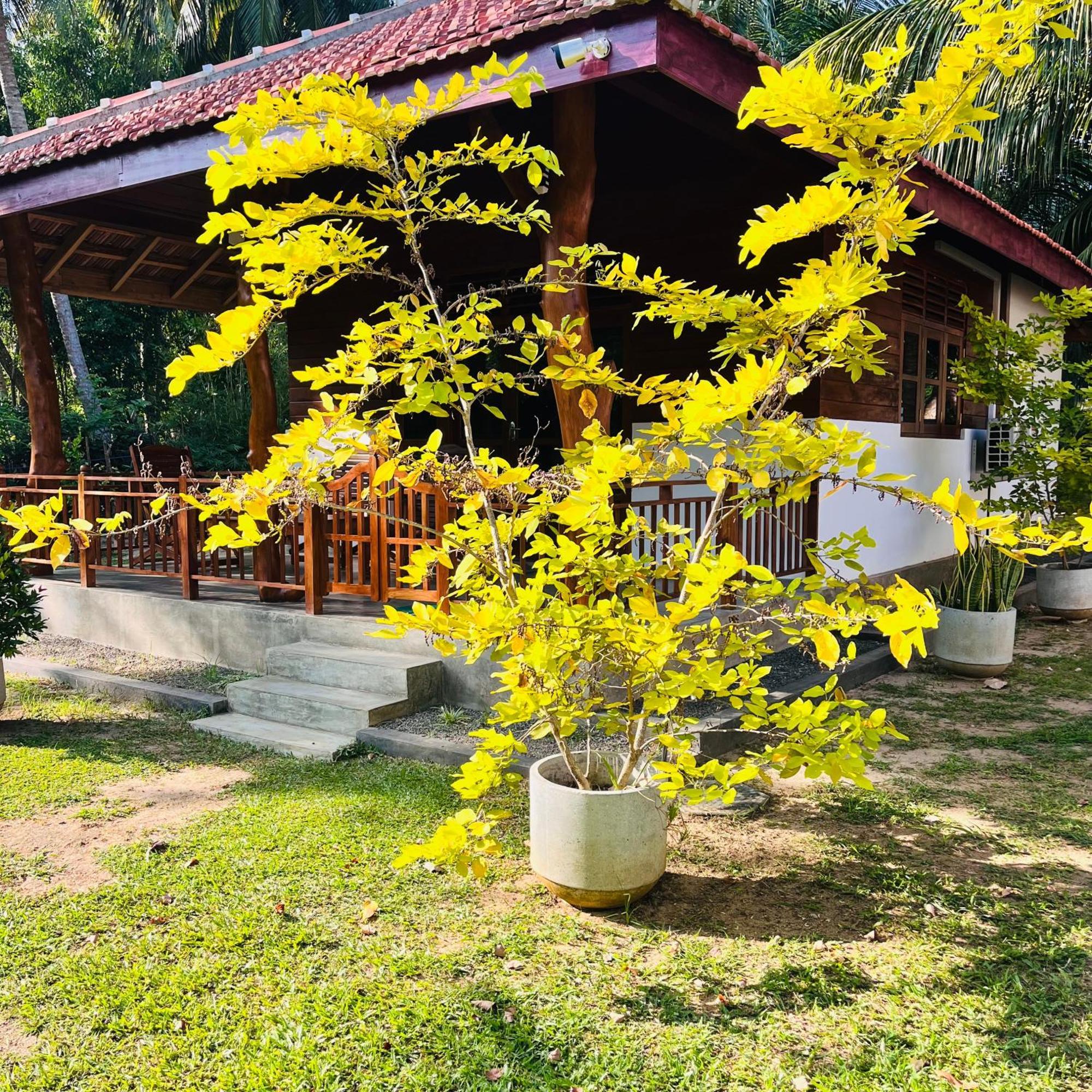 Hanguk Lanka Lagoon Villa تانجالي المظهر الخارجي الصورة